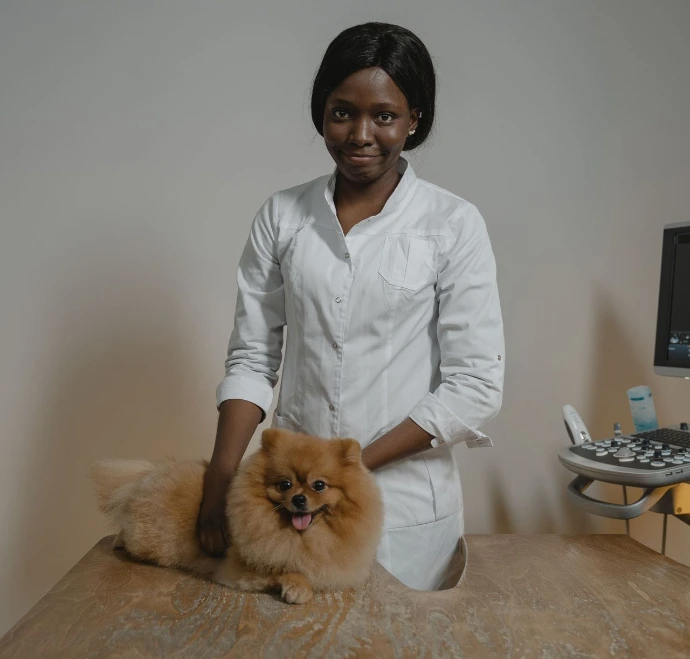 Vétérinaire auprès d'un chien pendant une consultation